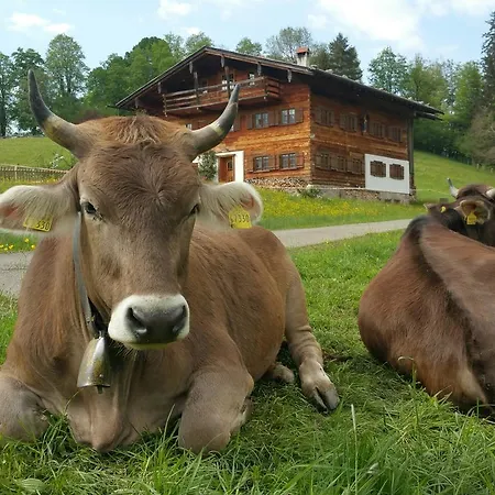 Fuggerhof Daire Oberstdorf